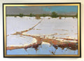 Winter Impression