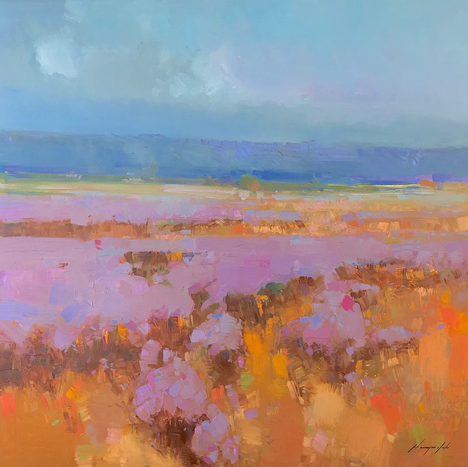 Field of Lavenders
