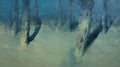 Moon Trees