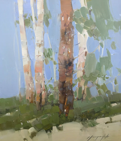 Birches Trees