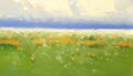 Summer Morning