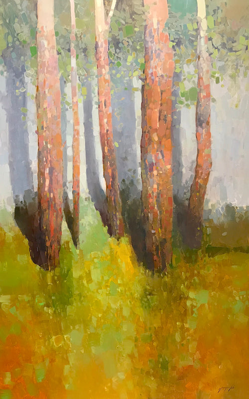 Birches Trees