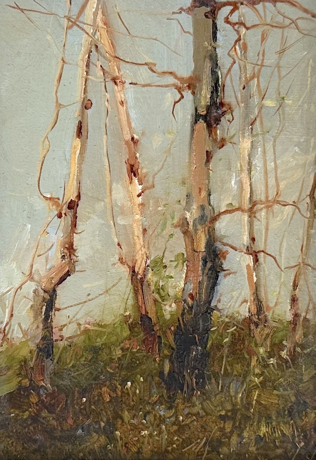 Autumn Grove