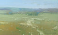 Meadow