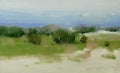 Summer View