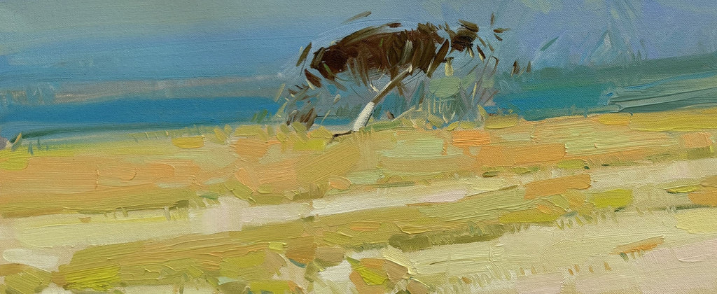 Windy Day
