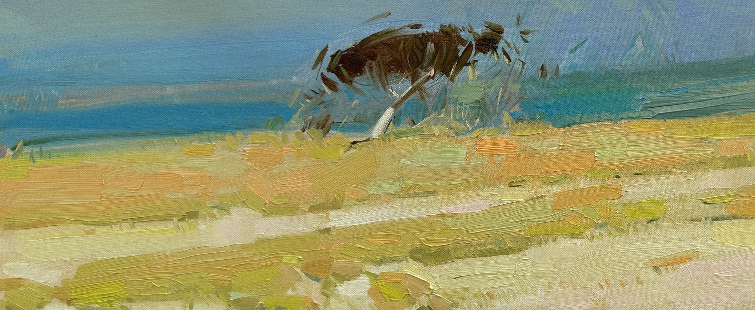 Windy Day