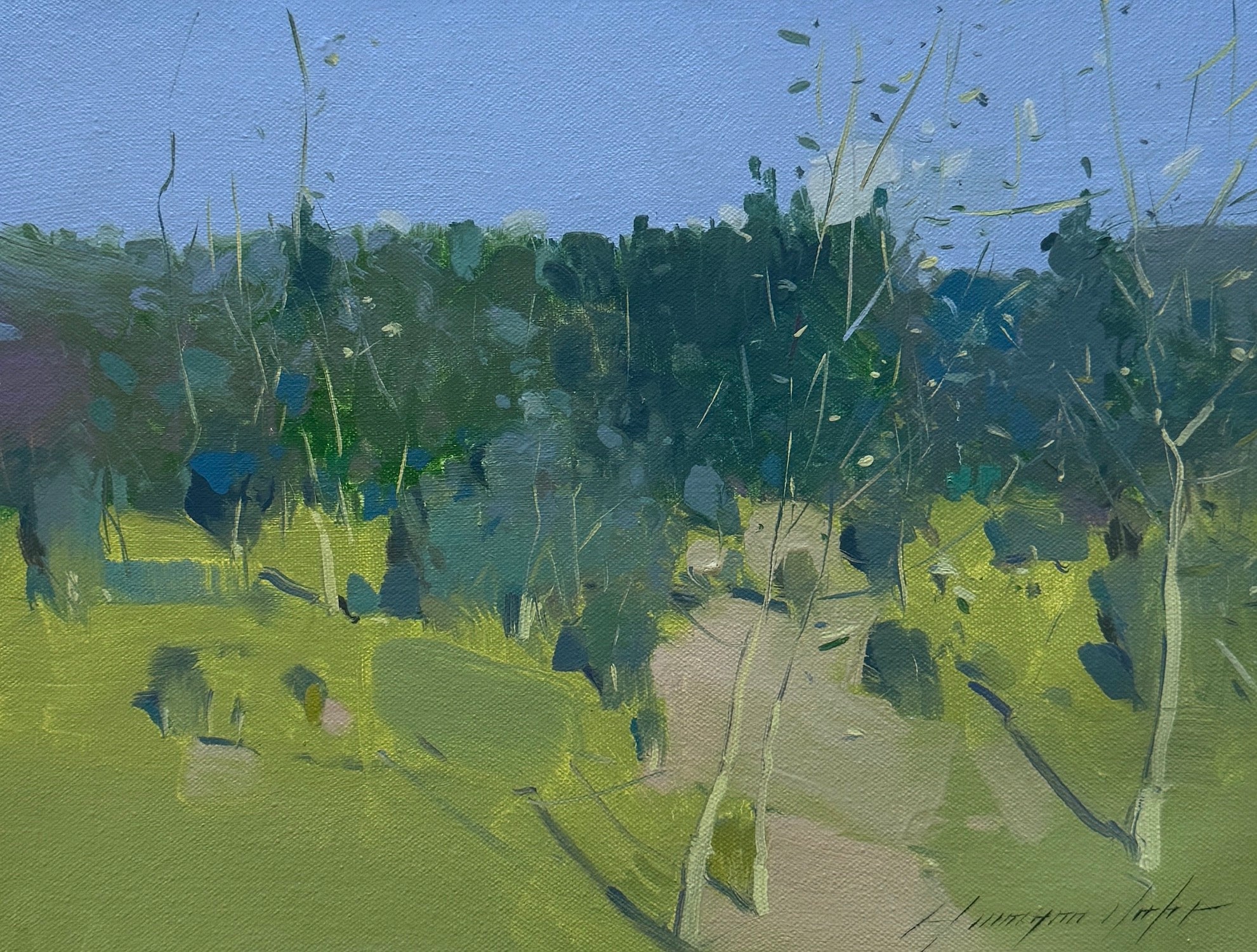 Summer Day