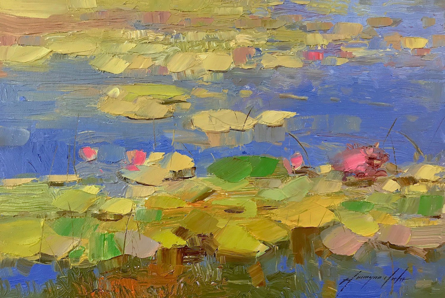 Waterlilies