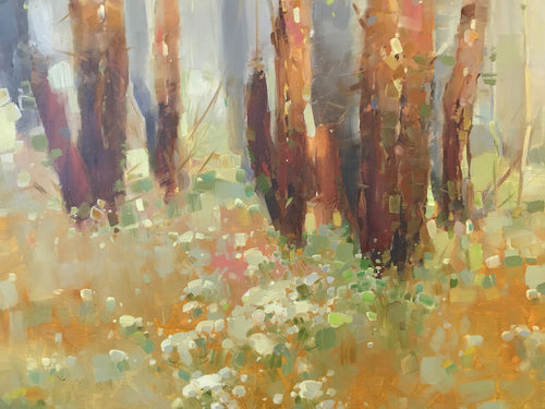 Birches  Grove