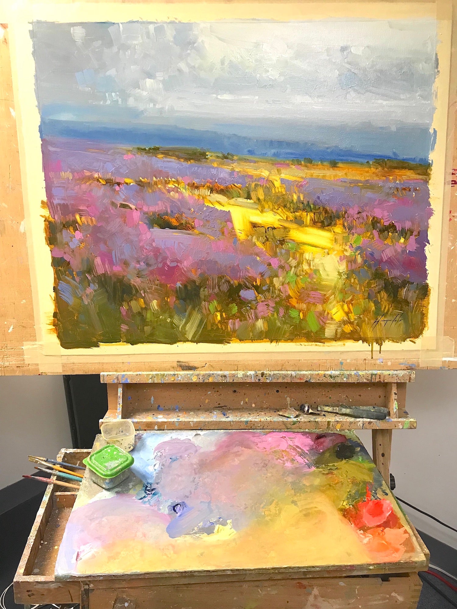 Field of Lavenders