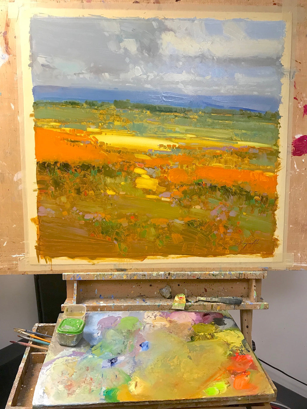 Field of Yellow Flowers