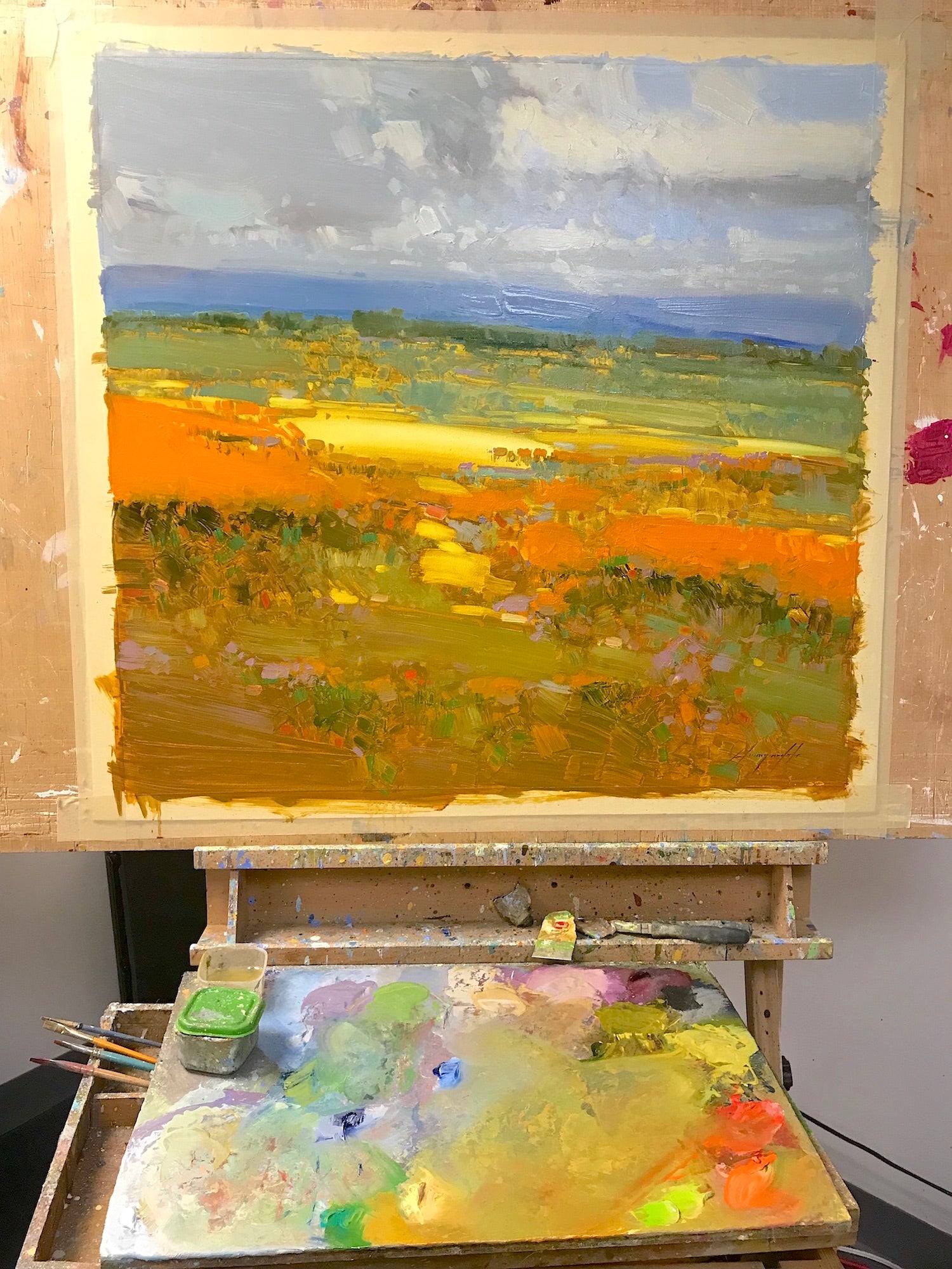 Field of Yellow Flowers