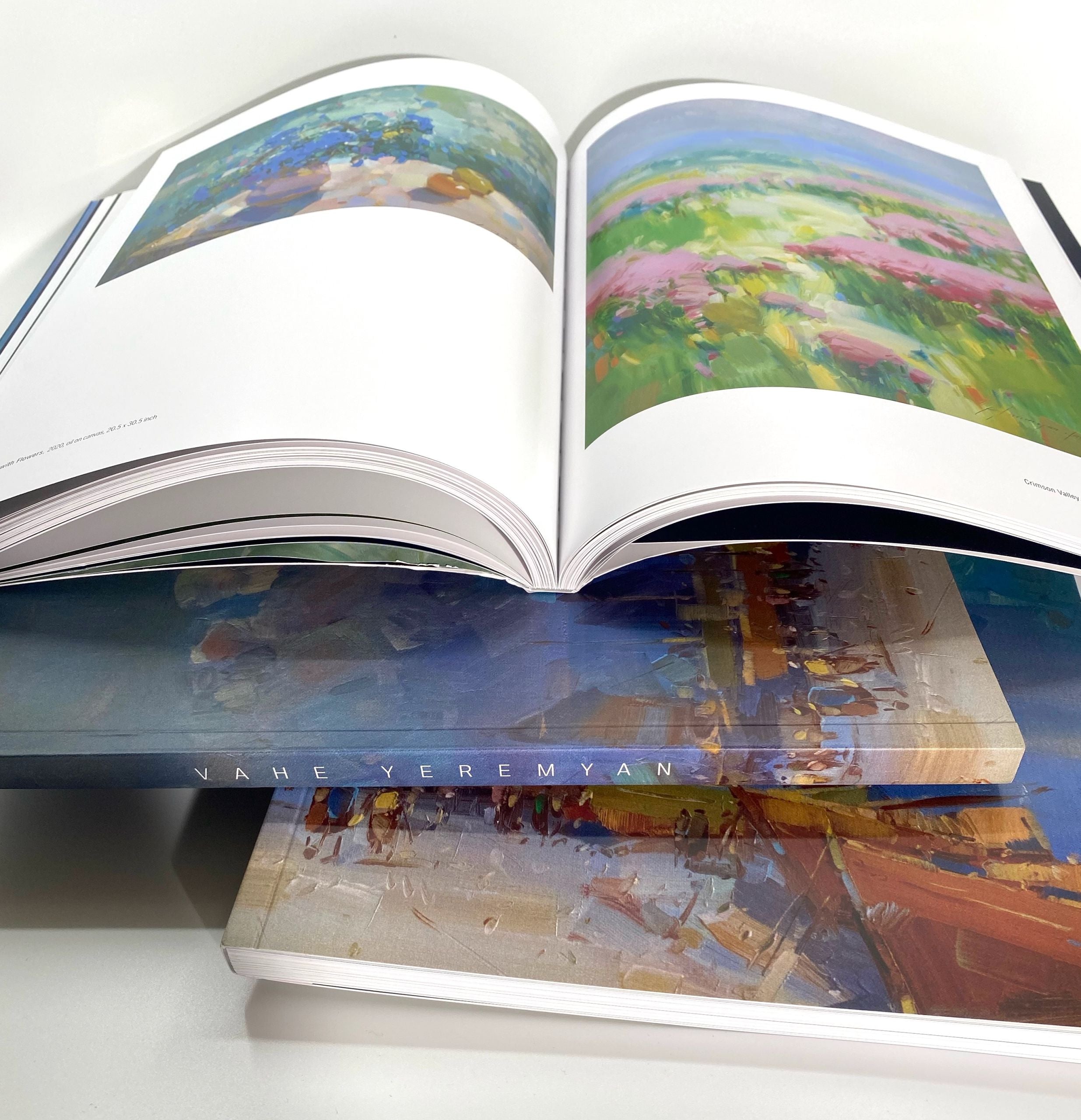 Vahe Yeremyan Book