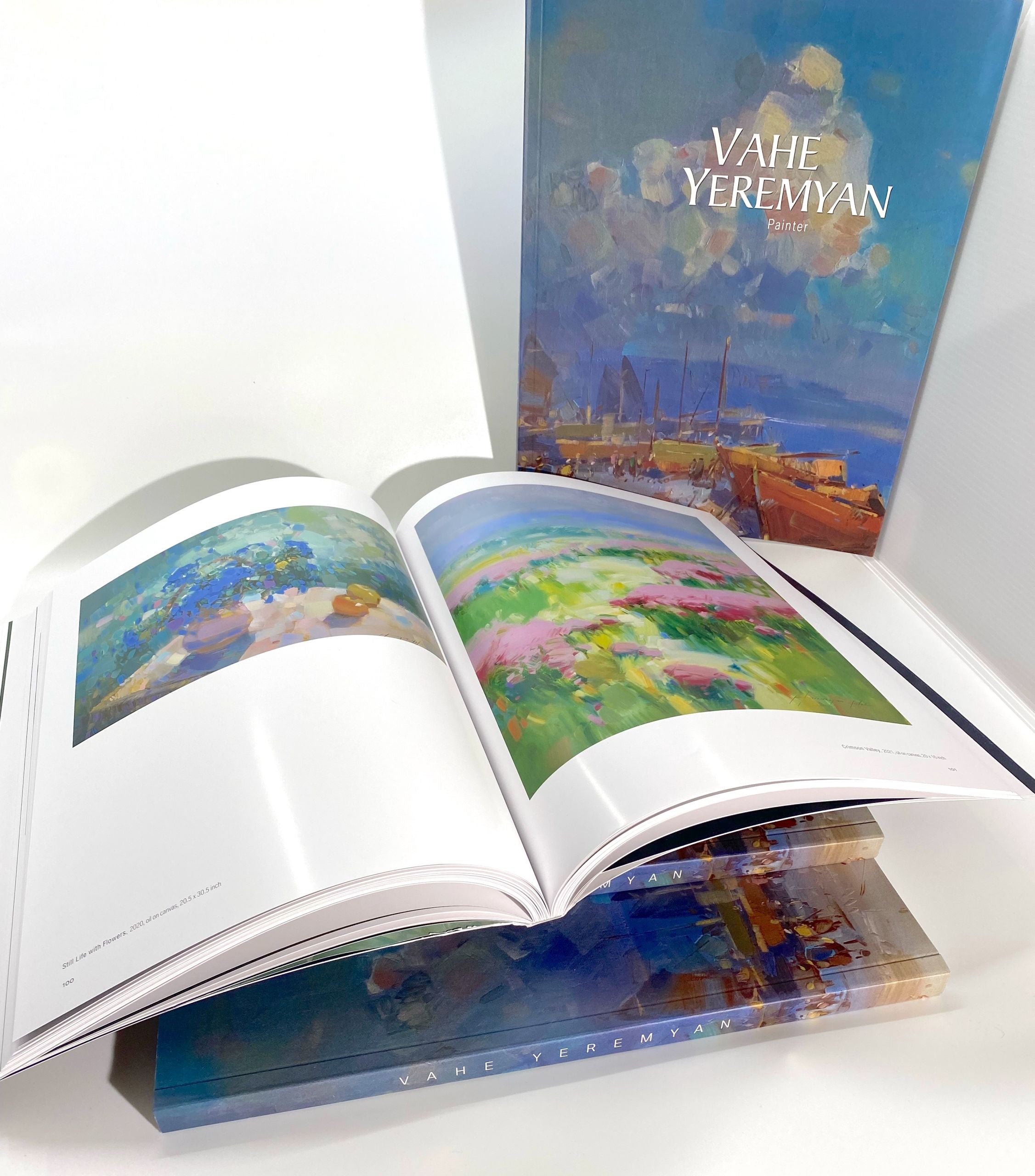 Vahe Yeremyan Book