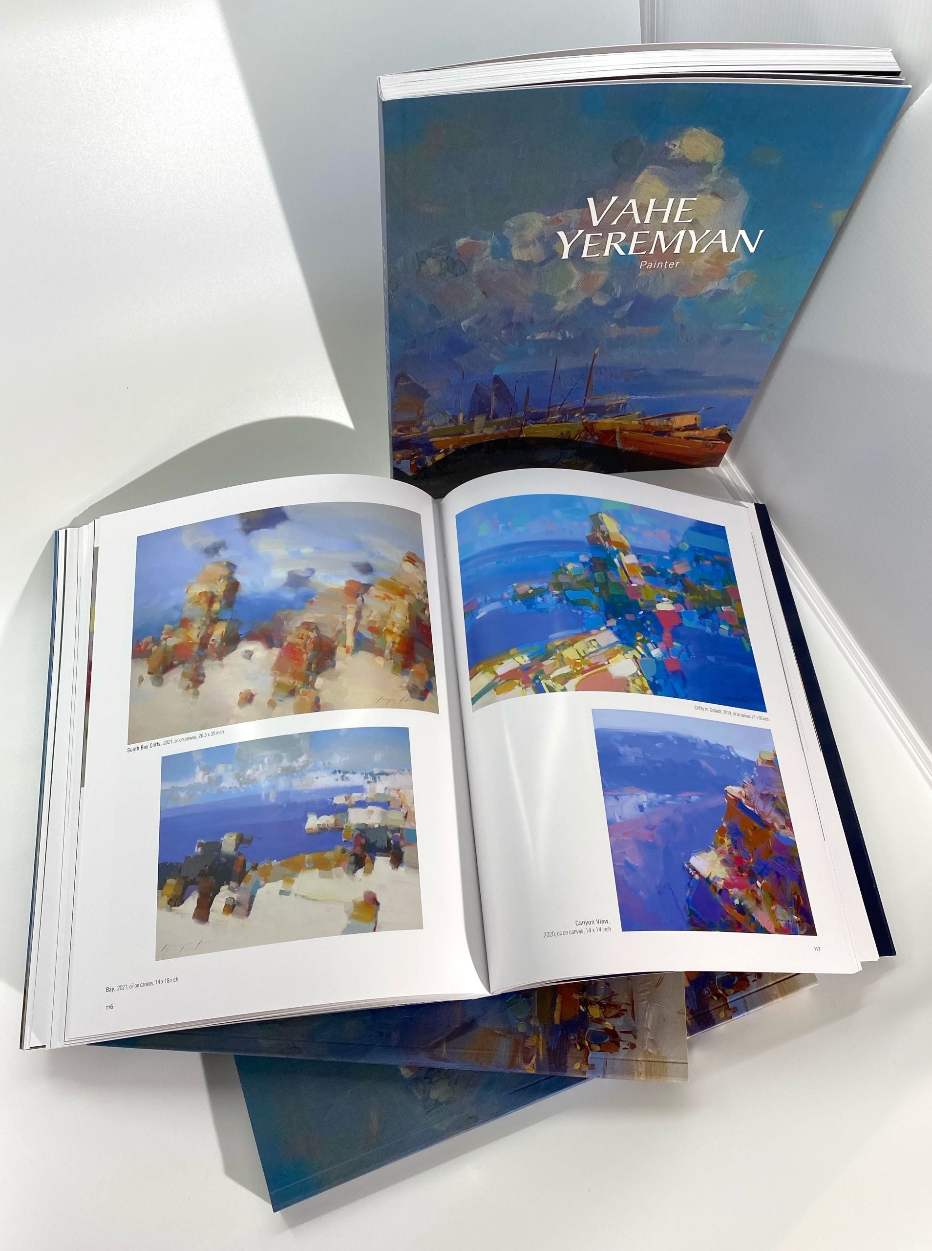 Vahe Yeremyan Book