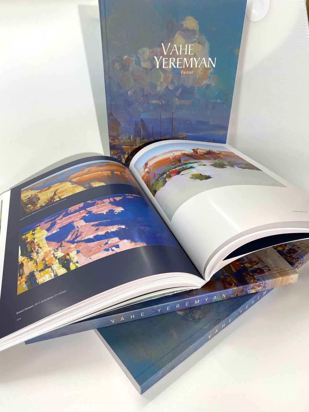Vahe Yeremyan Book