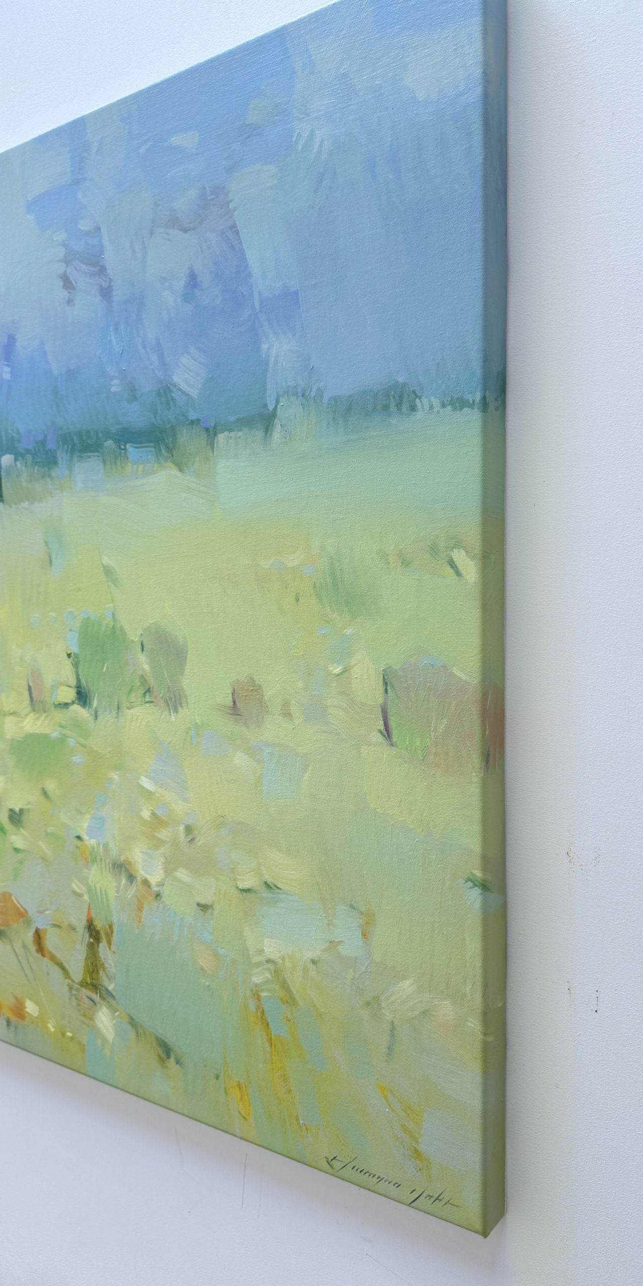 Meadow