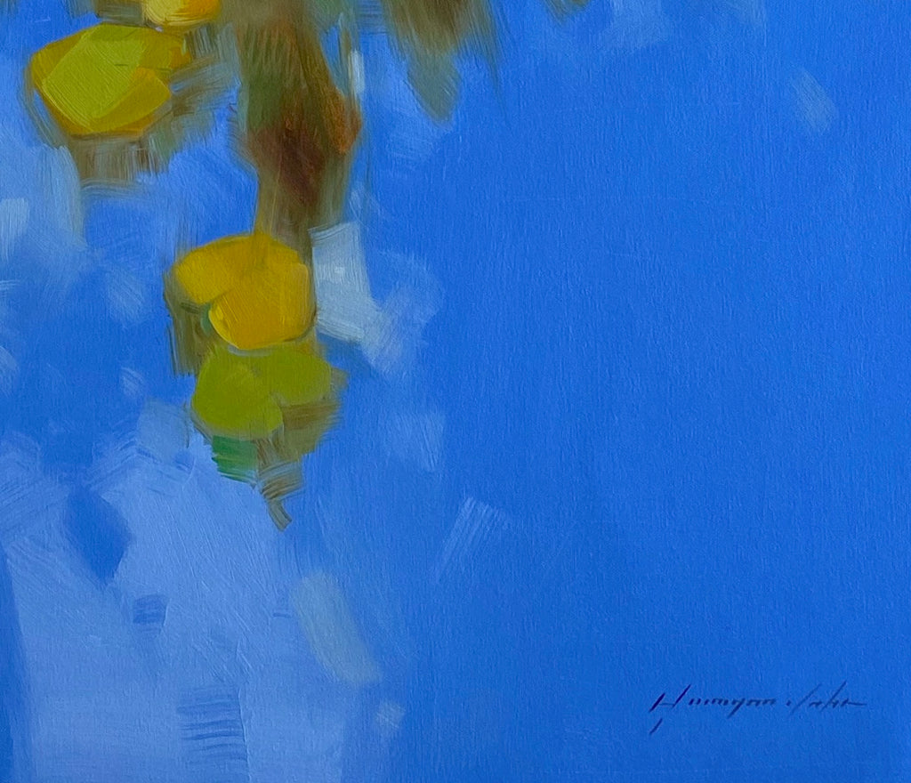 Waterlilies
